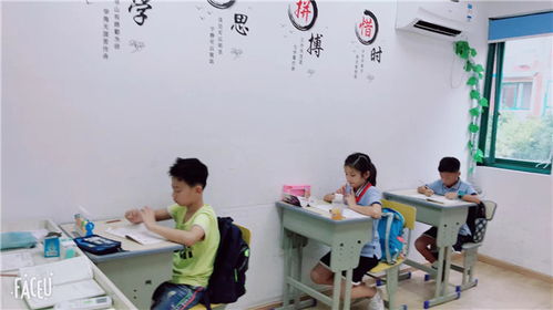 初一英語1對多提分 中小學英語培訓全面解析與高效策略